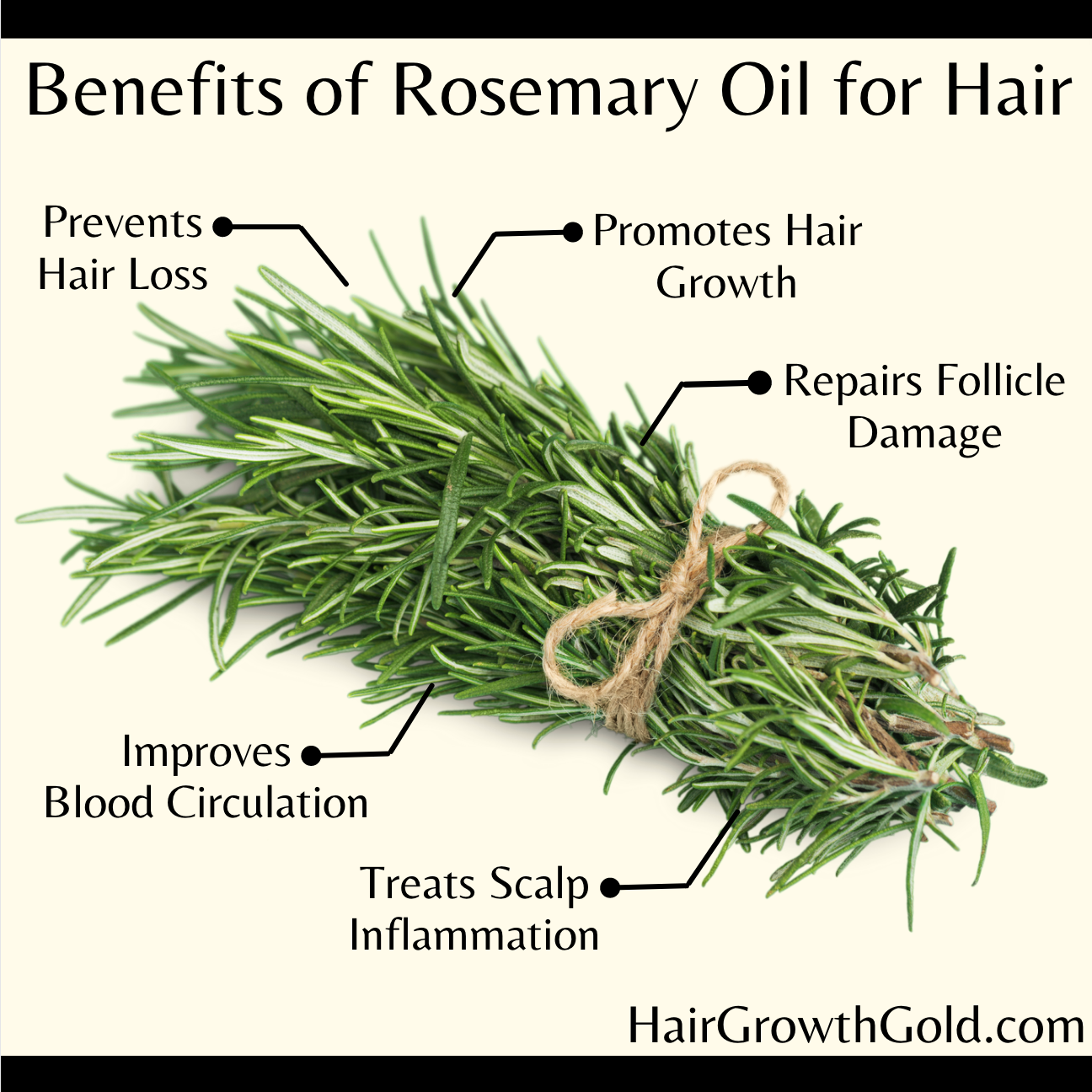 Jasmine Hair Thickening Oil with Rosemary